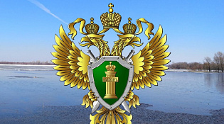 Костромской межрайонной природоохранной прокуратурой проведена проверка исполнения требований законодательства об охране вод.