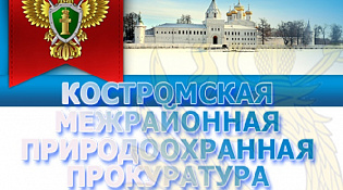 Всероссийский день приема предпринимателей в органах прокуратуры