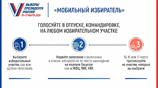 Голосование за объекты благоустройства
