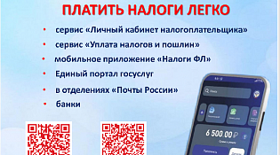Жители Костромской области уплатят более 1,4 млрд рублей имущественных налогов