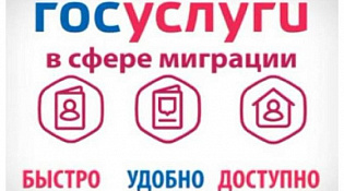 Государственные услуги в сфере миграции