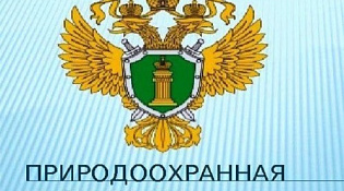 Костромская межрайонная природоохранная прокуратура информирует