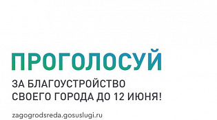 Десять дней осталось до завершения голосования за объекты благоустройства