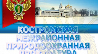Костромской межрайонной природоохранной прокуратурой проведена проверка соблюдения законодательства об отходах производства и потребления на территории города Костромы