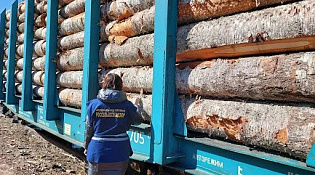 Управление Россельхознадзора по Владимирской, Костромской и Ивановской областям информирует