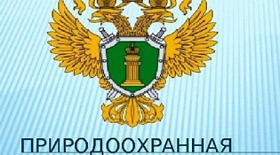 Костромская межрайонная природоохранная прокуратура информирует
