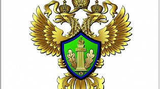 Горячая линия природоохранной прокуратуры по вопросам пожарной безопасности в лесах