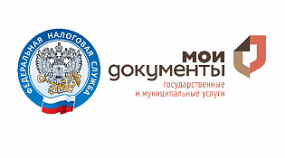 Налогоплательщиков проконсультируют онлайн из офисов МФЦ