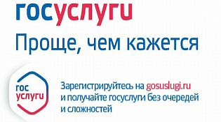 Получить социально значимые услуги граждане могут в электронном виде на Едином портале государственных и муниципальных услуг.