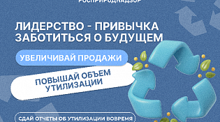 Отчёт РОП.