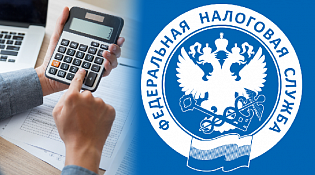 C 1 января 2024 года стартовала декларационная кампания