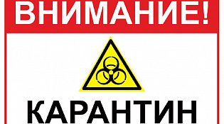 О возникновении африканской чумы свиней на территории Макарьевского муниципального района