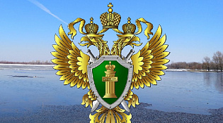 Костромская природоохранная прокуратура разъясняет  новое положение в законодательстве о лесоматериалах.