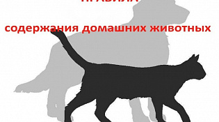 Об утверждении дополнительных требований к содержанию домашних животных, в том числе к их выгулу, на территории костромской области